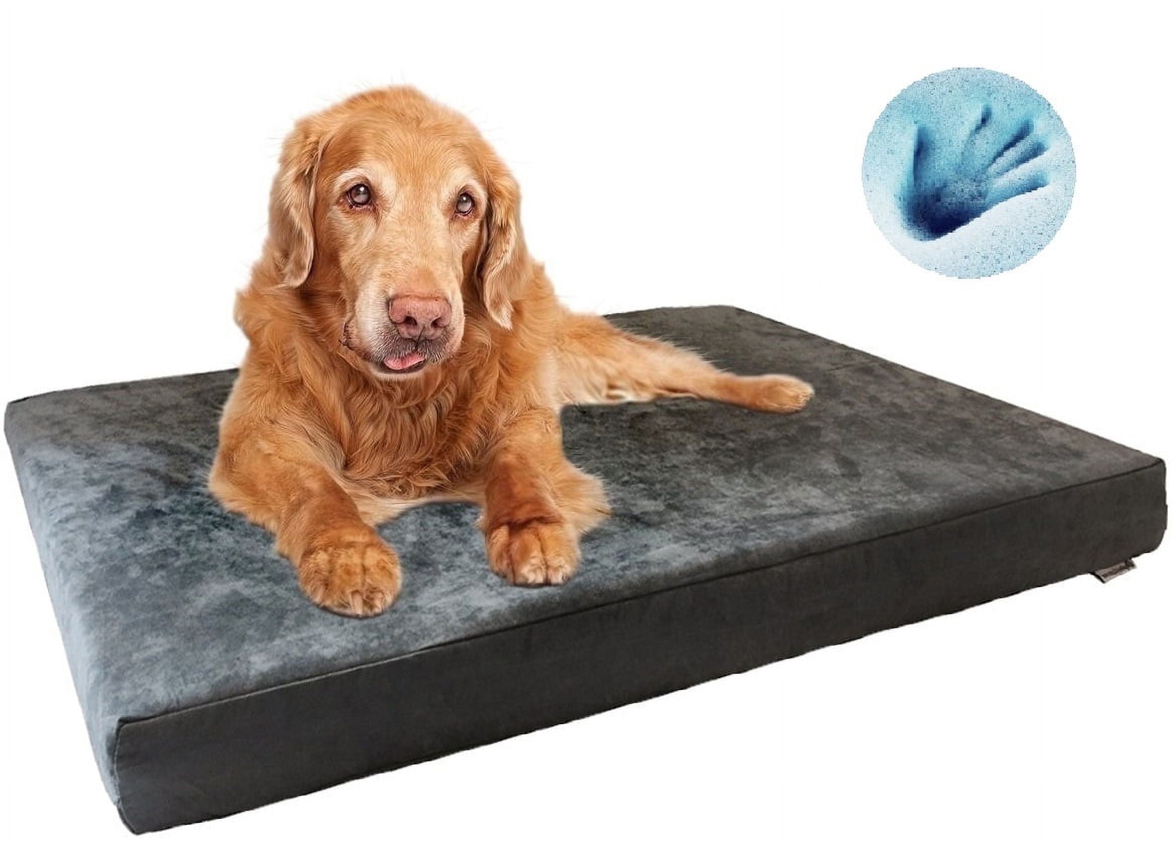 Premium Pet Products