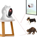 LaserPaws Automatic Cat Laser Toy
