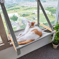 SkyPaws Cat Window Hammock Perch
