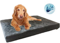 DreamRest Ortho Memory Foam Dog Bed