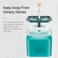 AquaPaws Pet Drinking Fountain LED